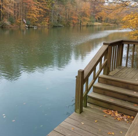 298 Eagle Lake Road Coalmont TN 37313