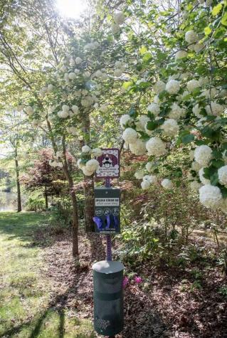 298 Eagle Lake Road Coalmont TN 37313