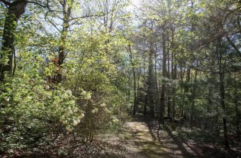 298 Eagle Lake Road Coalmont TN 37313