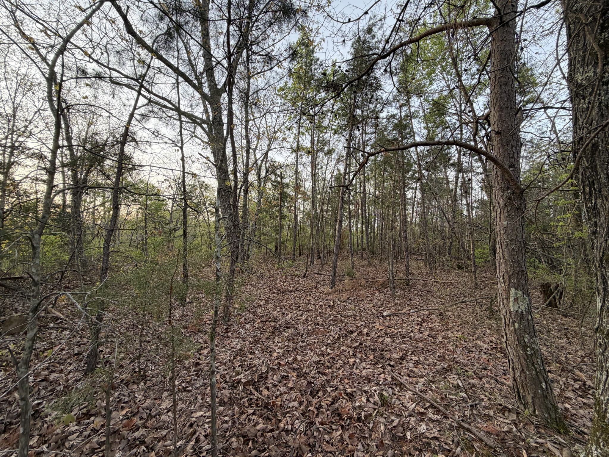 0 Salem Road Centerville TN 37033