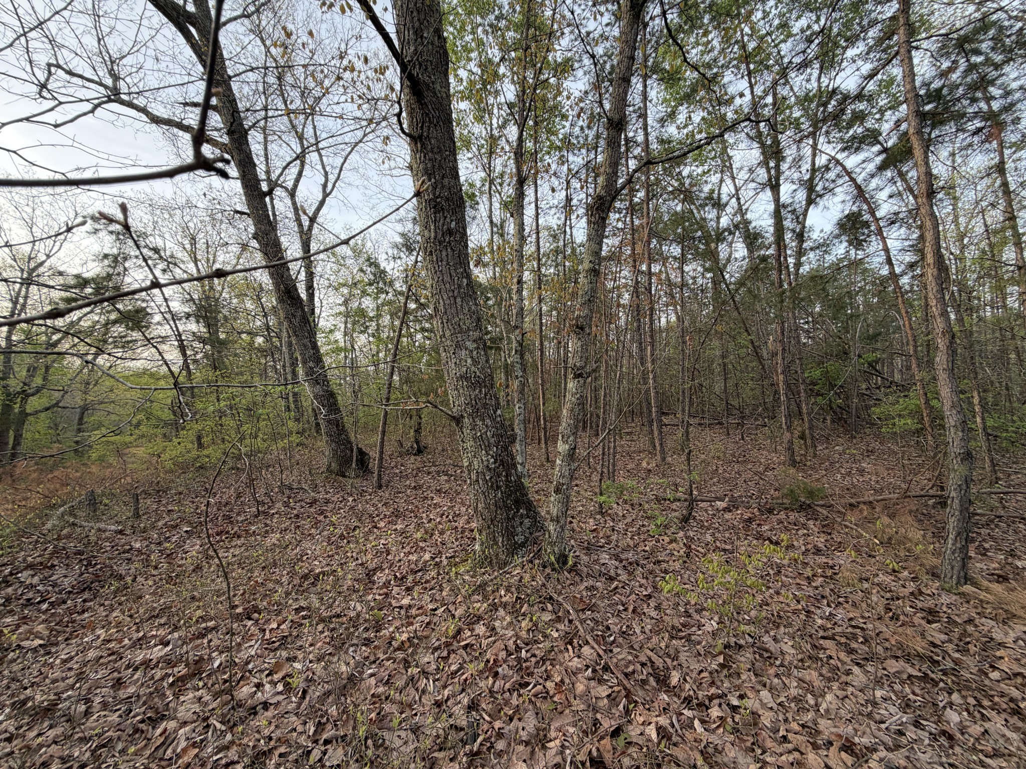 0 Salem Road Centerville TN 37033