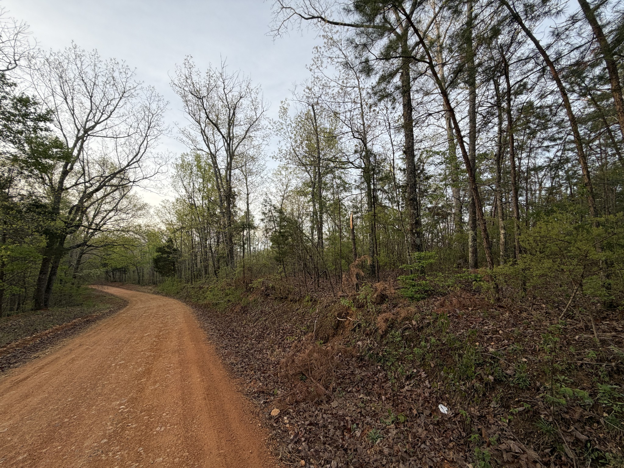 0 Salem Road Centerville TN 37033