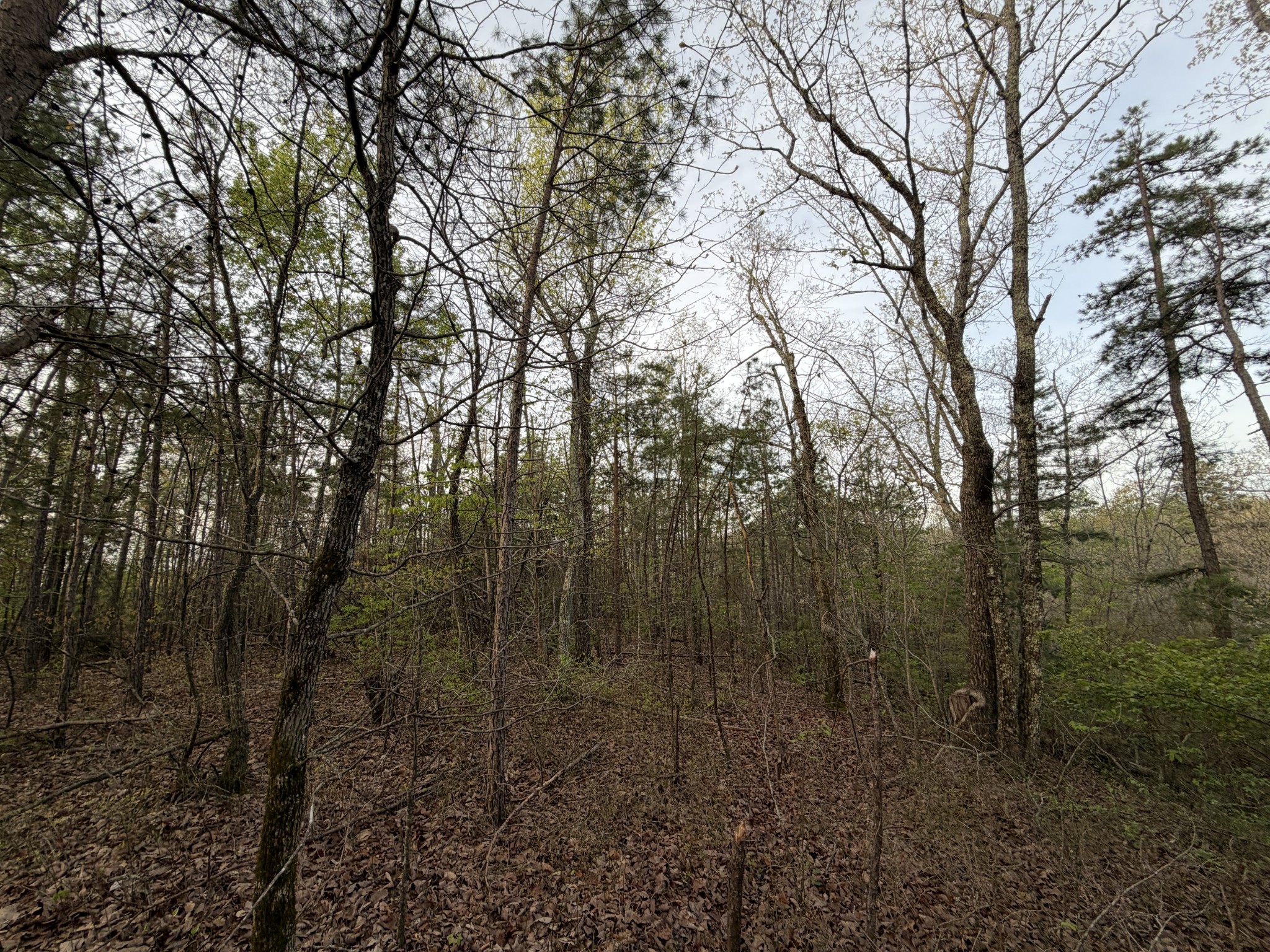 0 Salem Road Centerville TN 37033