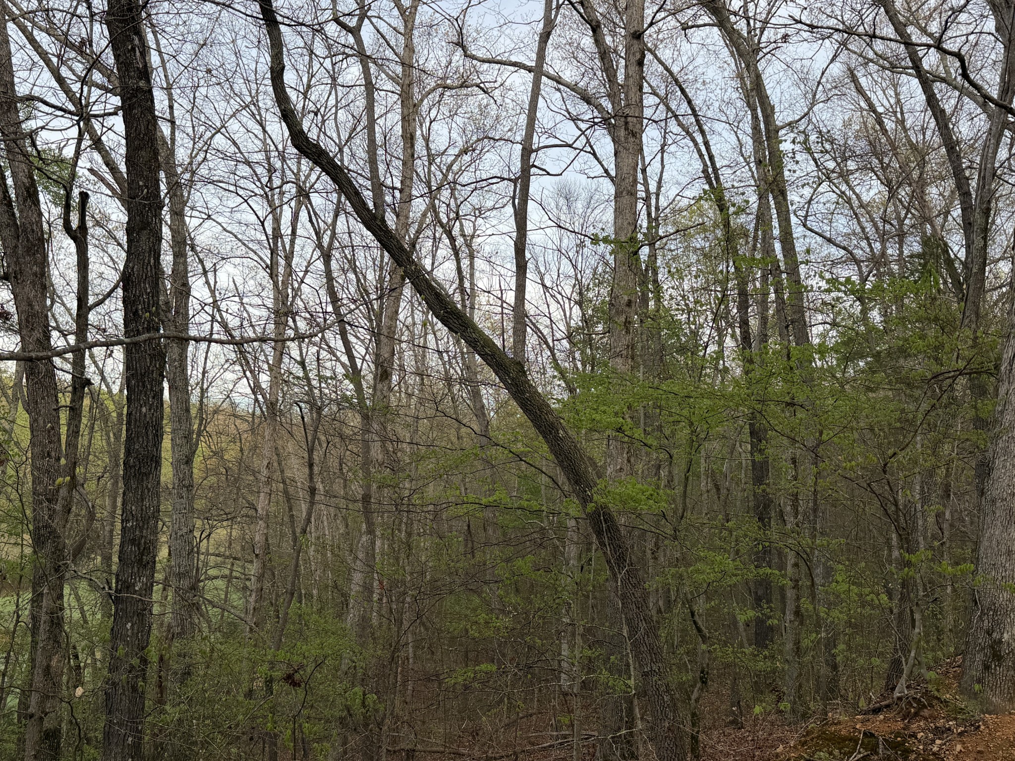 0 Salem Road Centerville TN 37033