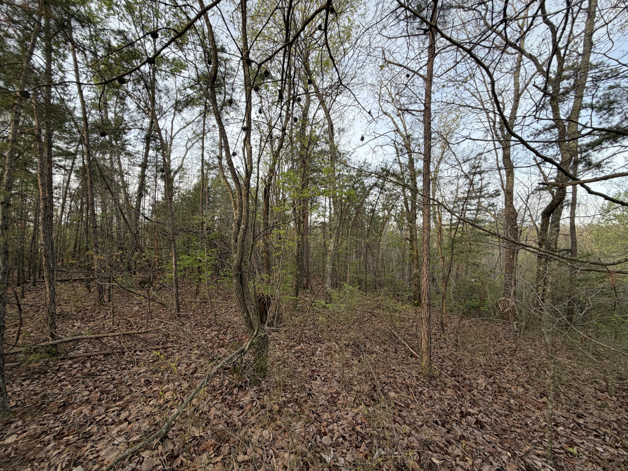 0 Salem Road Centerville TN 37033
