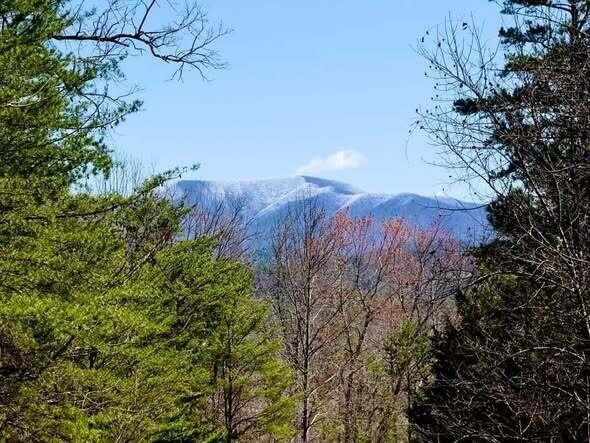 260 Deer Ridge Trail Ocoee TN 37361