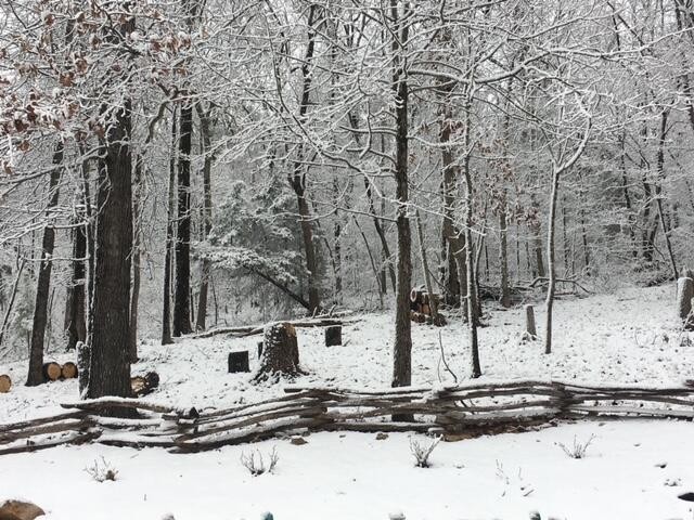 260 Deer Ridge Trail Ocoee TN 37361