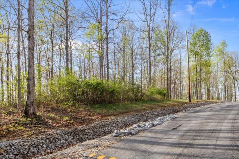 0 Ridgewood Drive Mc Ewen TN 37101