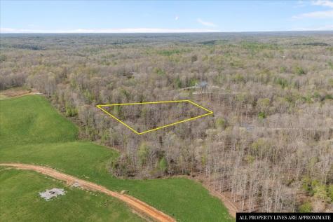 0 Ridgewood Drive Mc Ewen TN 37101