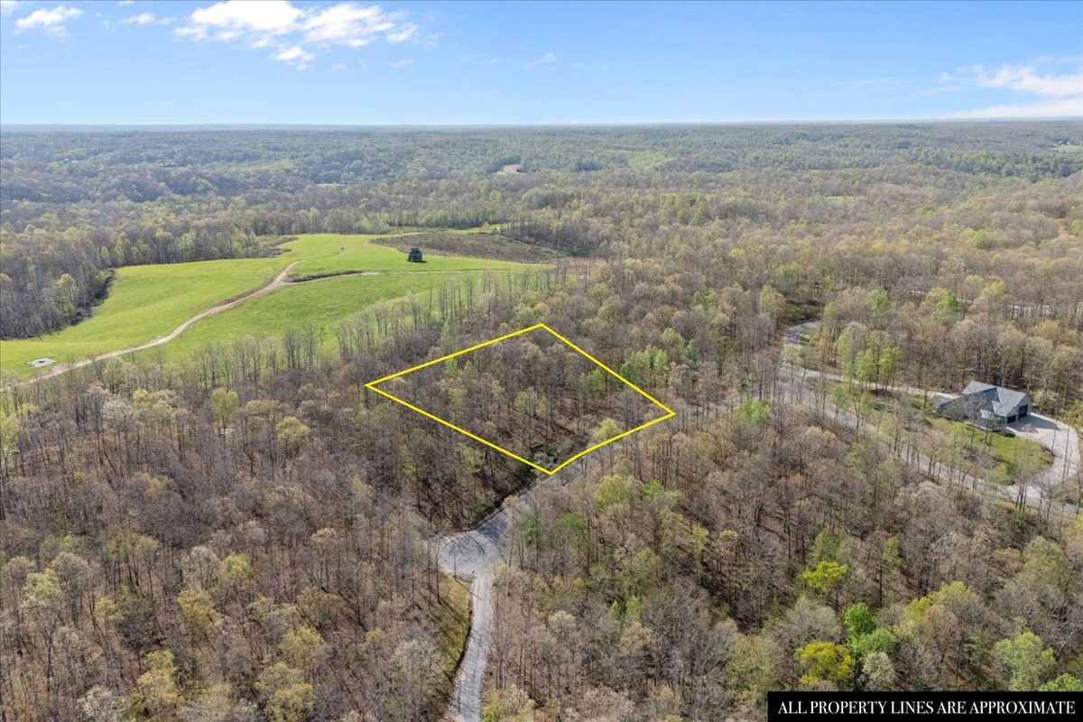 0 Ridgewood Drive Mc Ewen TN 37101