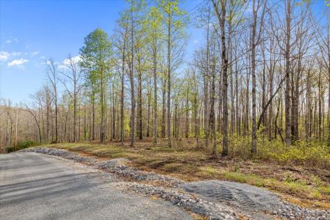 0 Ridgewood Drive Mc Ewen TN 37101