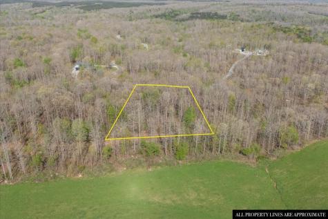 0 Ridgewood Drive Mc Ewen TN 37101