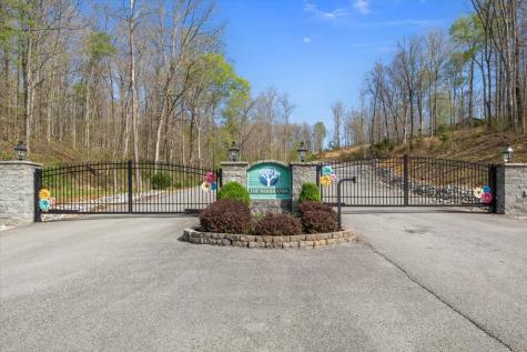 0 Ridgewood Drive Mc Ewen TN 37101