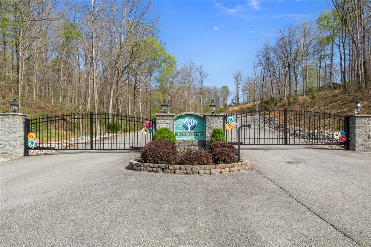 0 Ridgewood Drive Mc Ewen TN 37101