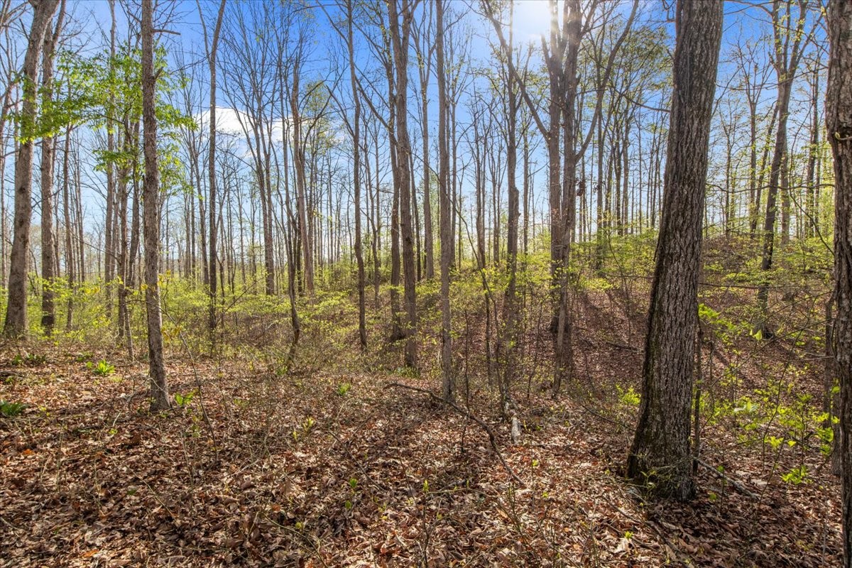 0 Ridgewood Drive Mc Ewen TN 37101