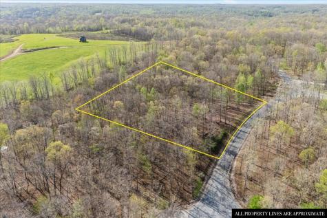 0 Ridgewood Drive Mc Ewen TN 37101
