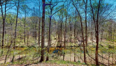 1044 Deer Ridge Road Kingston Springs TN 37082