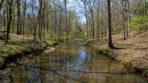 1044 Deer Ridge Road Kingston Springs TN 37082