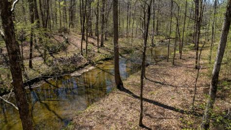 1044 Deer Ridge Road Kingston Springs TN 37082