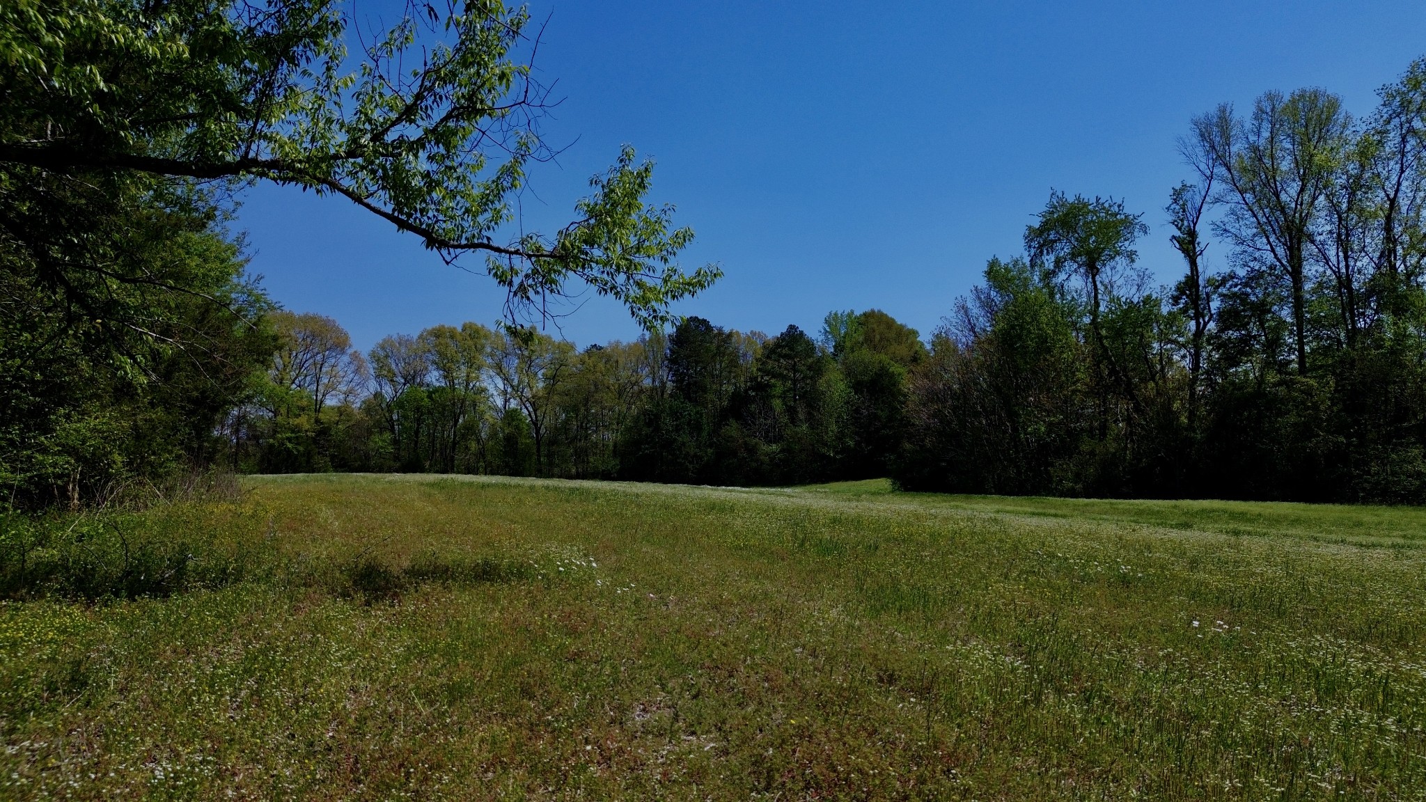 1135 Kermet Turner Road Rock Island TN 38581