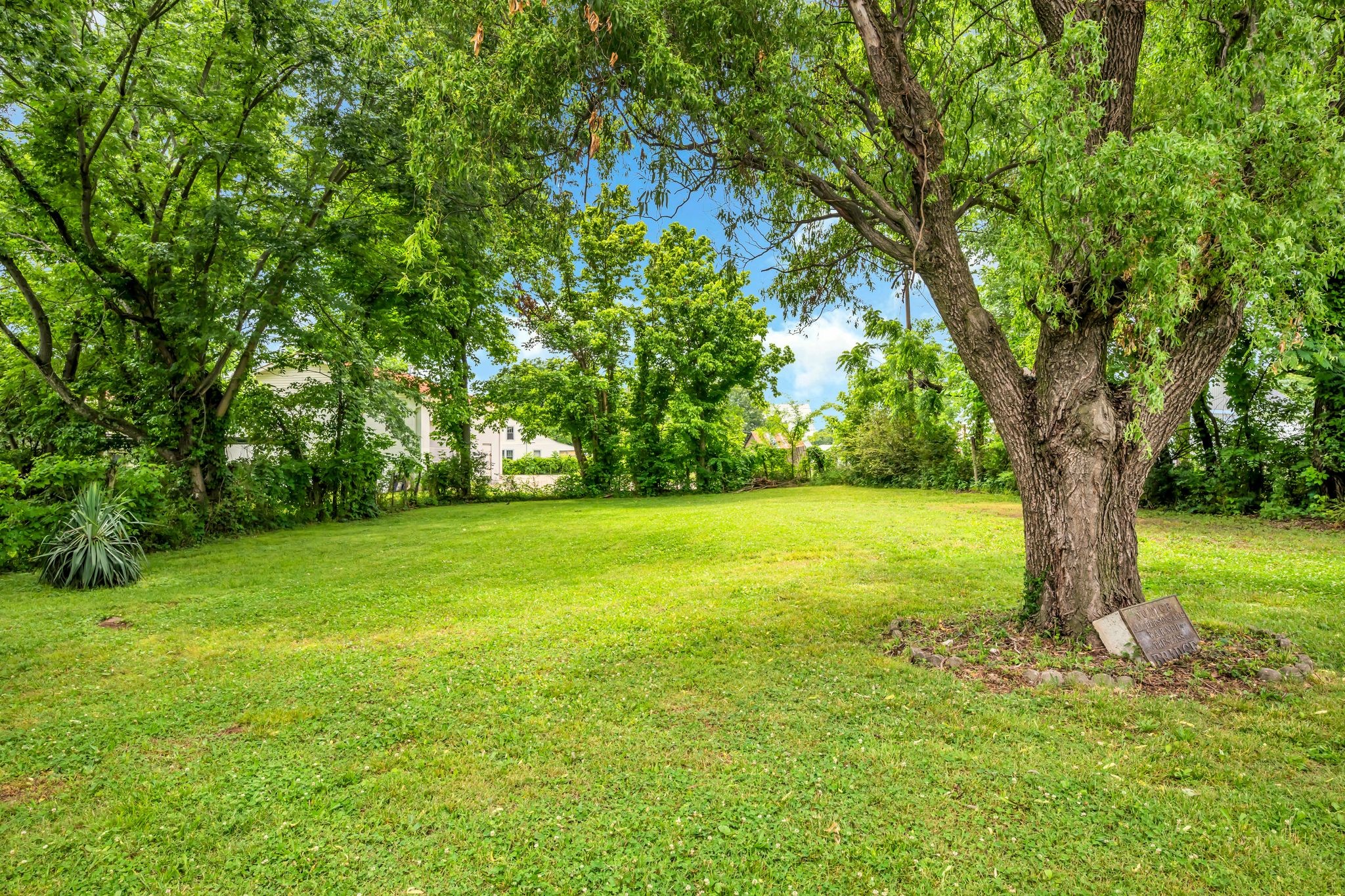 55 College St, N Mc Ewen TN 37101