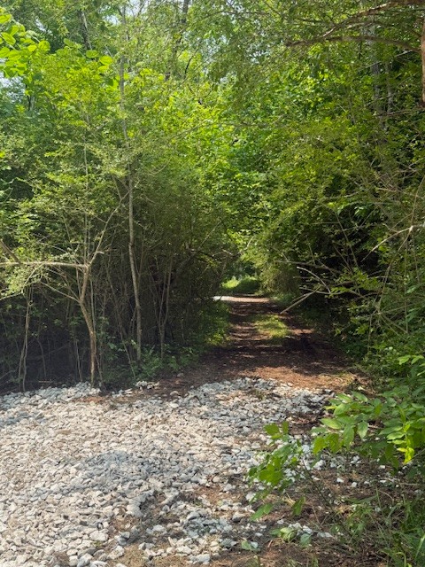 0 Roberts Ridge Road Manchester TN 37355