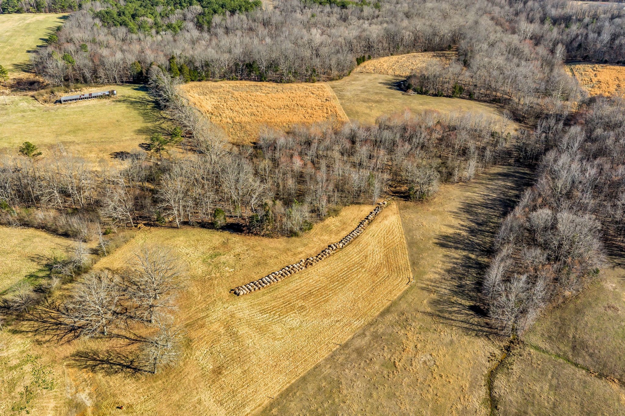 2340 Ridge Road Mc Ewen TN 37101