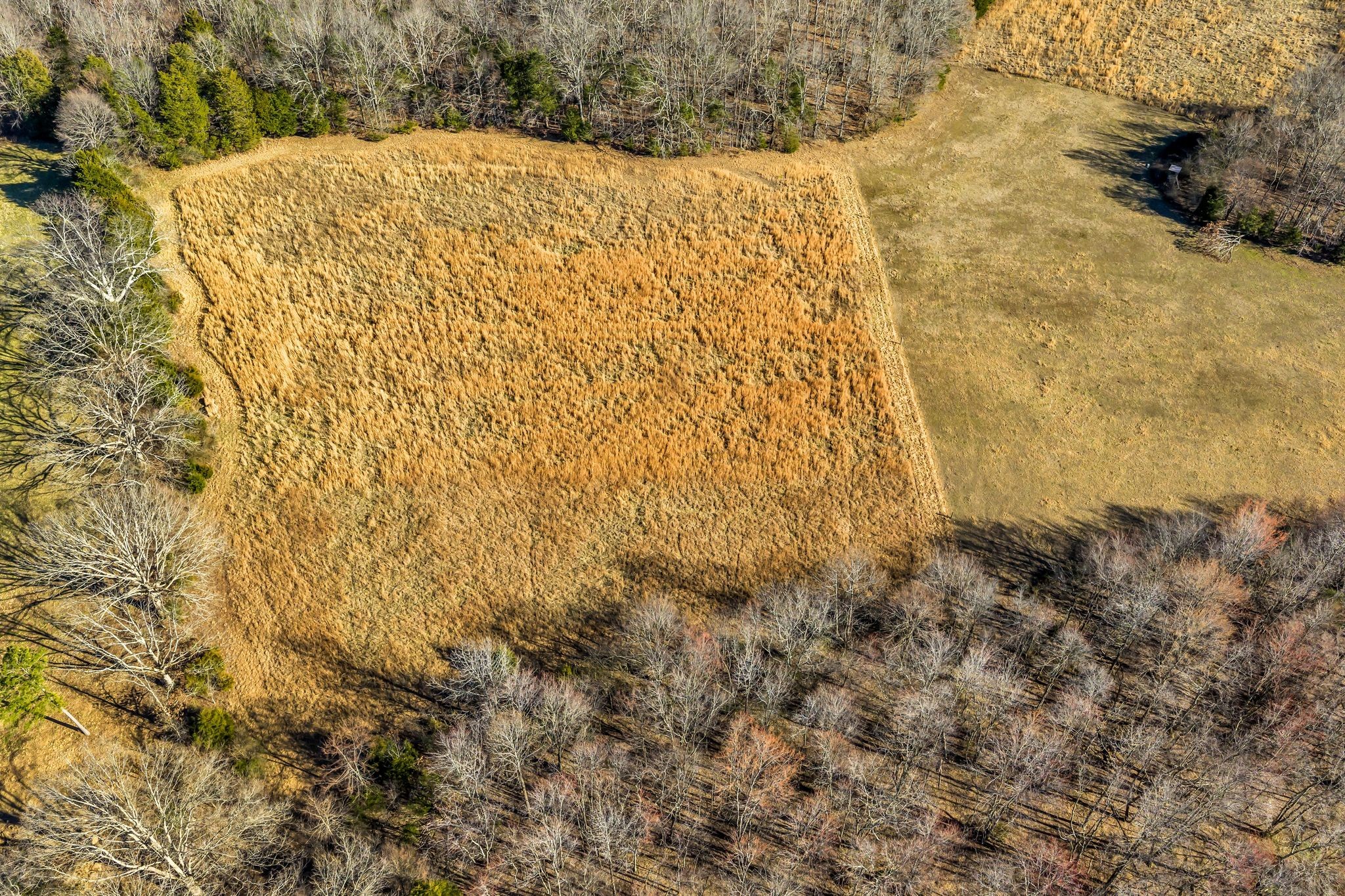 2340 Ridge Road Mc Ewen TN 37101
