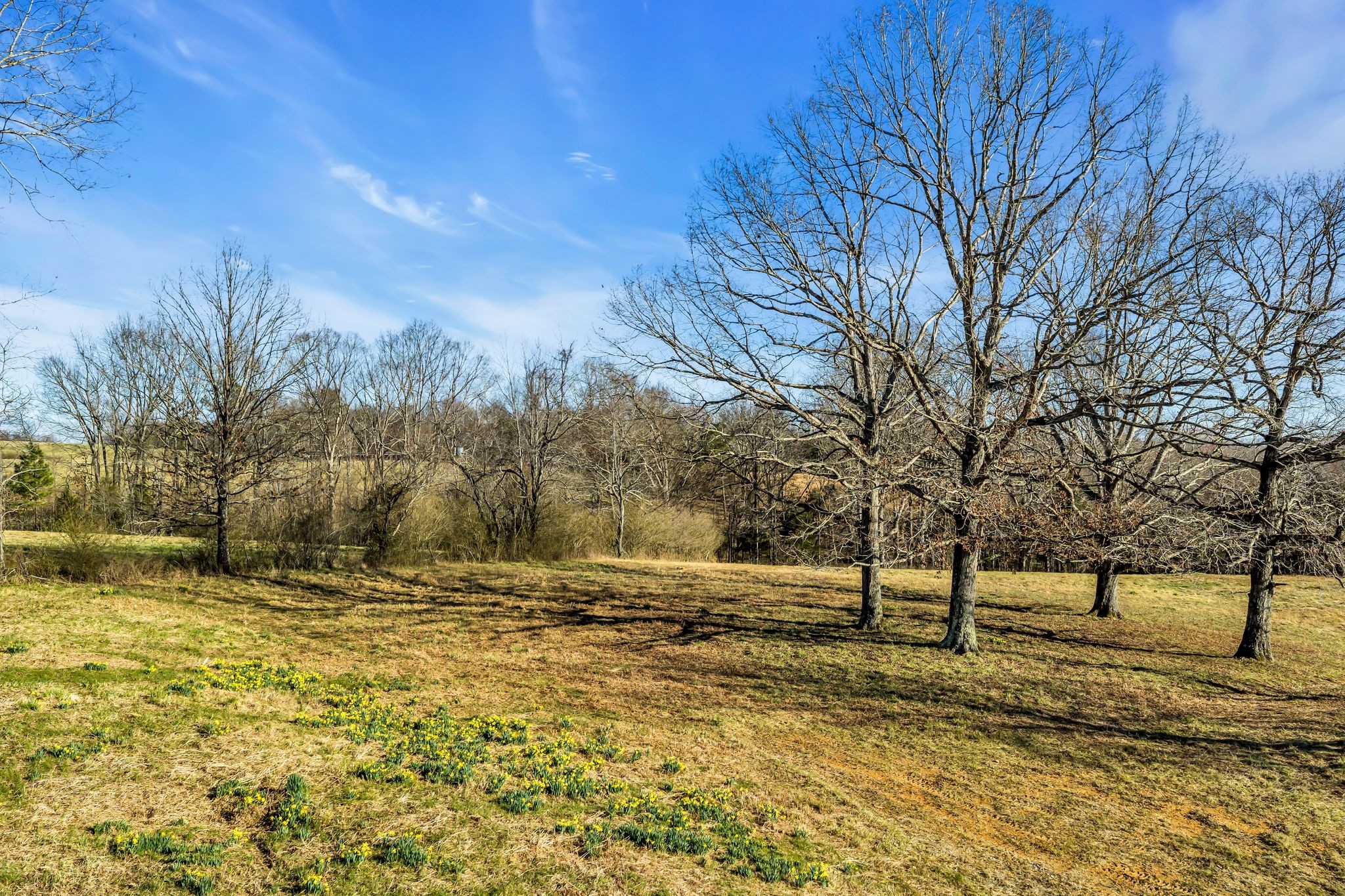 2340 Ridge Road Mc Ewen TN 37101