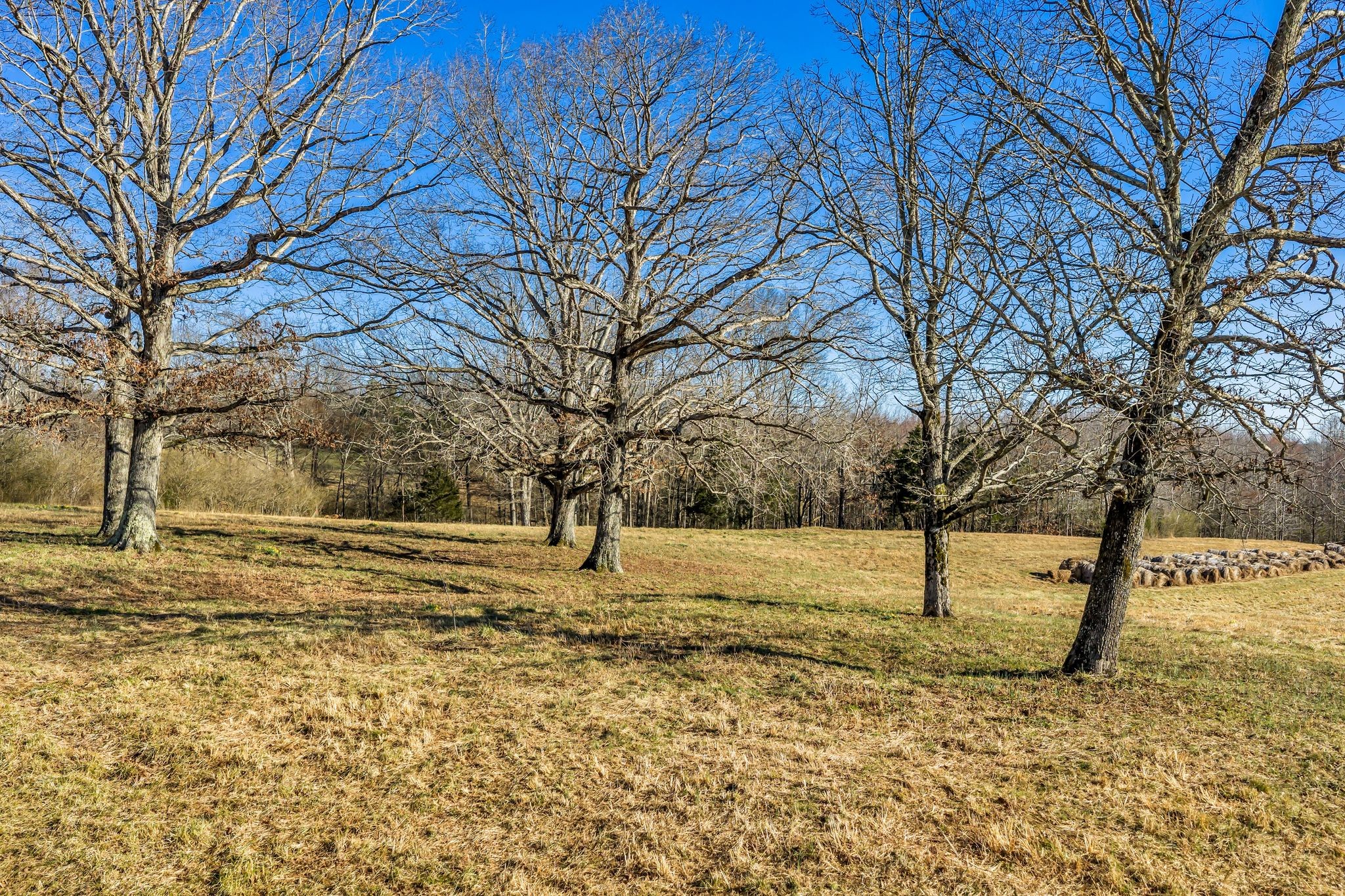 2340 Ridge Road Mc Ewen TN 37101