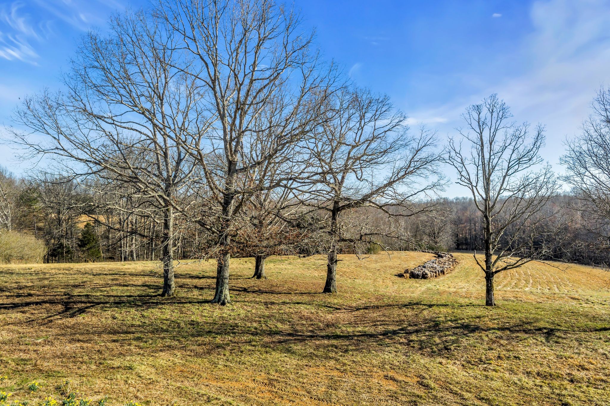2340 Ridge Road Mc Ewen TN 37101