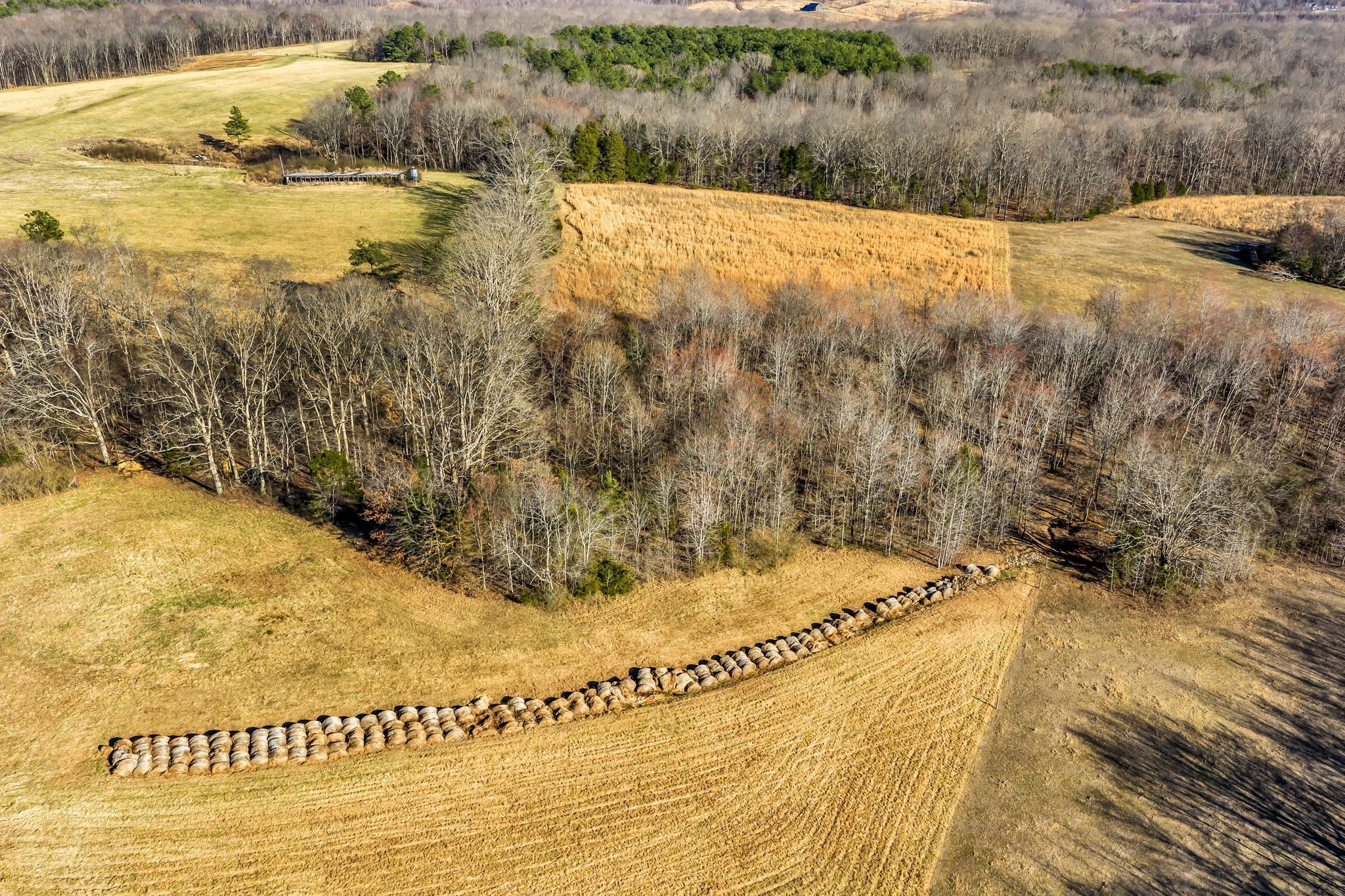 2340 Ridge Road Mc Ewen TN 37101