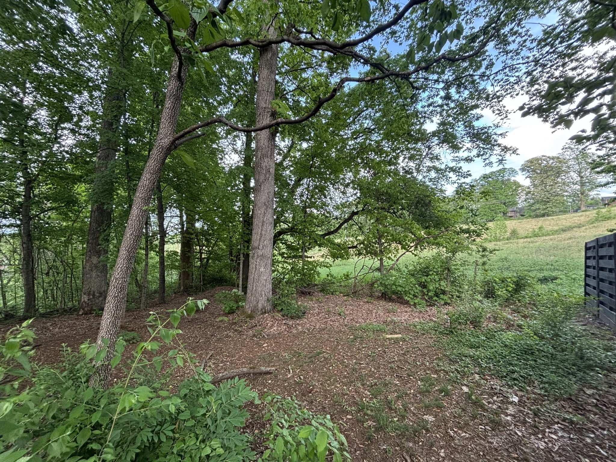 1012 Saint Johns Drive Maryville TN 37801