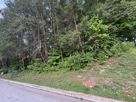 1012 Saint Johns Drive Maryville TN 37801